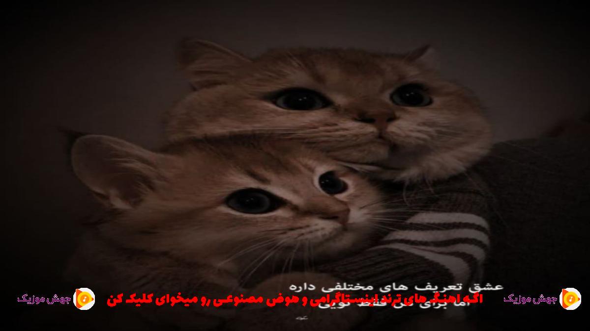 دانلود آهنگ من دیگه فندک نیست جیبم از هایده و معین و امیر تتلو و سورنا